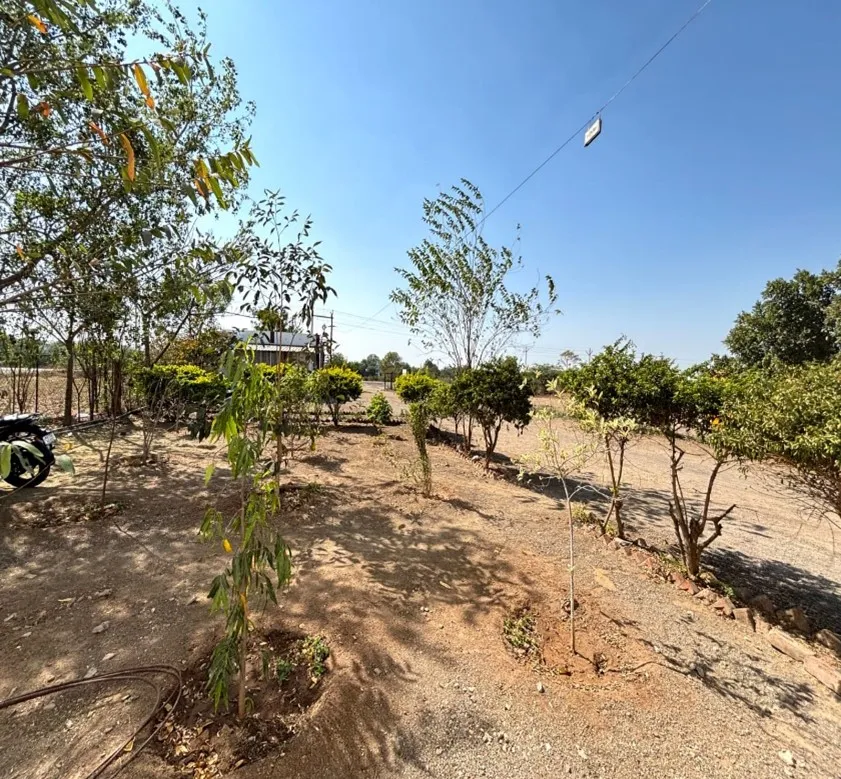 Medicinal Garden — Facilities